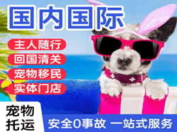 玉龙空运公司国际宠物托运 【国